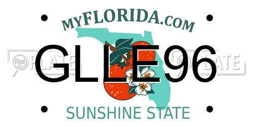 GLLE96 Florida License Plate