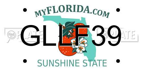 GLLF39 Florida License Plate