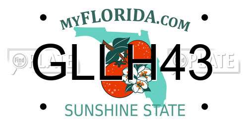 GLLH43 Florida License Plate