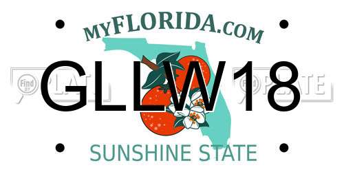GLLW18 Florida License Plate