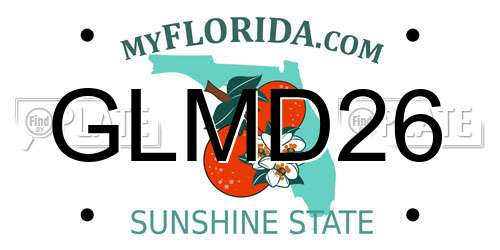 GLMD26 Florida License Plate
