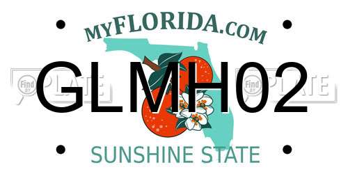 GLMH02 Florida License Plate