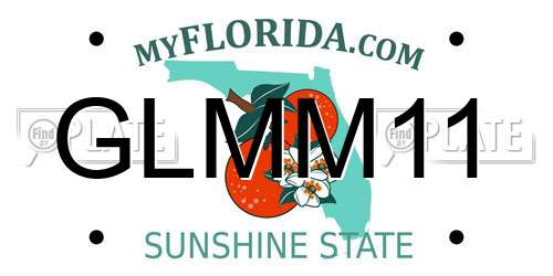 GLMM11 Florida License Plate