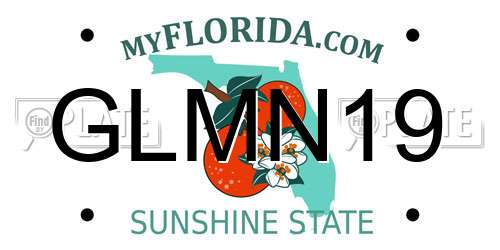 GLMN19 Florida License Plate