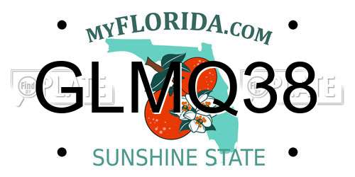 GLMQ38 Florida License Plate