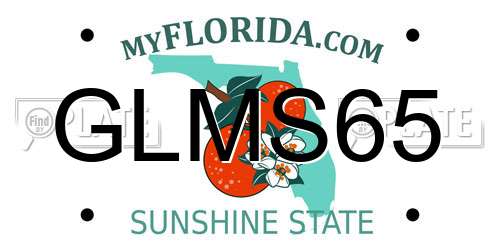 GLMS65 Florida License Plate