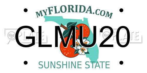 GLMU20 Florida License Plate