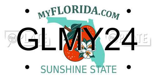 GLMY24 Florida License Plate