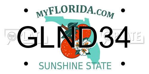 GLND34 Florida License Plate