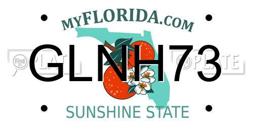 GLNH73 Florida License Plate