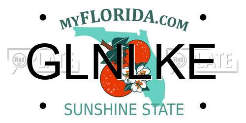 GLNLKE Florida License Plate