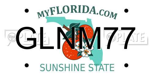 GLNM77 Florida License Plate