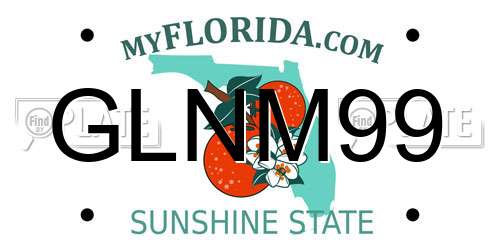 GLNM99 Florida License Plate
