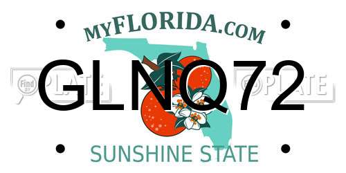 GLNQ72 Florida License Plate