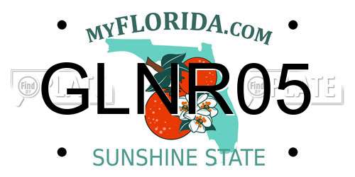 GLNR05 Florida License Plate