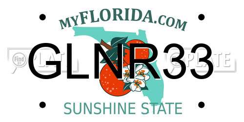GLNR33 Florida License Plate