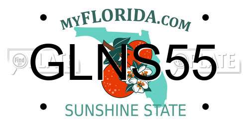 GLNS55 Florida License Plate