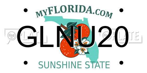 GLNU20 Florida License Plate