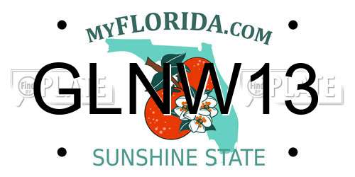 GLNW13 Florida License Plate