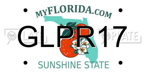 GLPR17 Florida License Plate