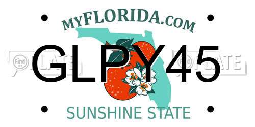 GLPY45 Florida License Plate