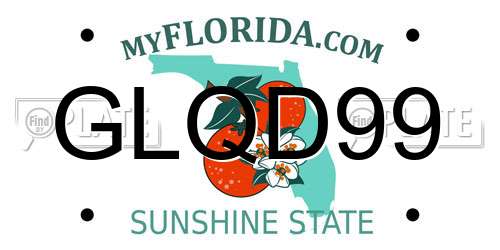 GLQD99 Florida License Plate