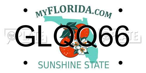 GLQQ66 Florida License Plate
