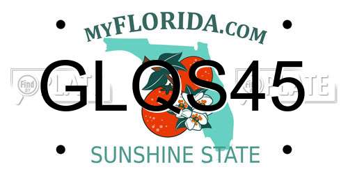 GLQS45 Florida License Plate