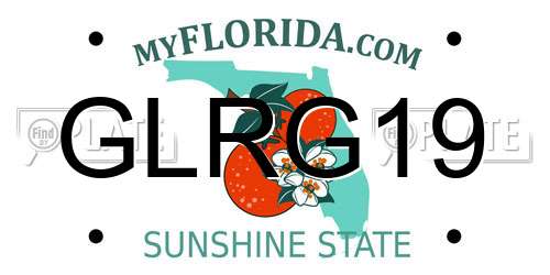 GLRG19 Florida License Plate