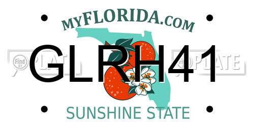 GLRH41 Florida License Plate