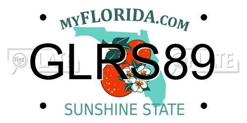 GLRS89 Florida License Plate