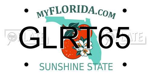 GLRT65 Florida License Plate