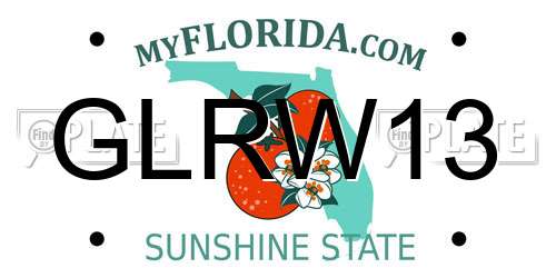 GLRW13 Florida License Plate