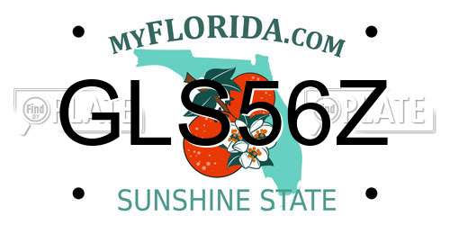 GLS56Z Florida License Plate
