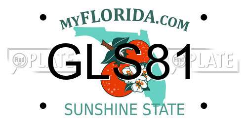 GLS81 Florida License Plate