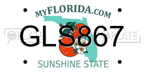 GLS867 Florida License Plate