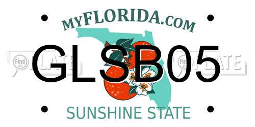 GLSB05 Florida License Plate