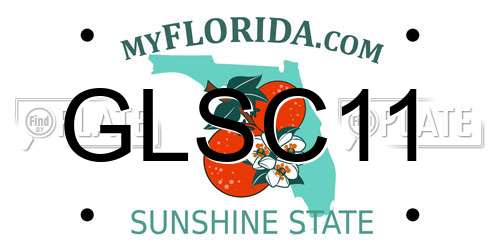 GLSC11 Florida License Plate