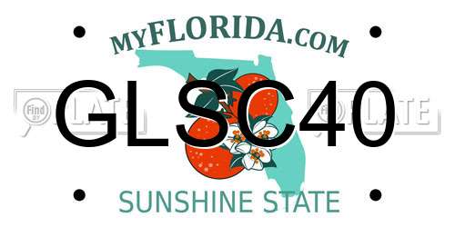 GLSC40 Florida License Plate