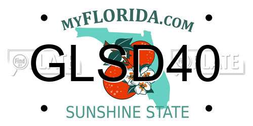 GLSD40 Florida License Plate