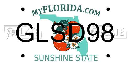 GLSD98 Florida License Plate