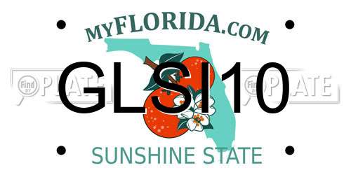 GLSI10 Florida License Plate
