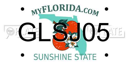 GLSJ05 Florida License Plate