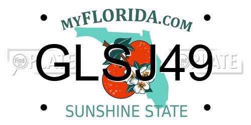 GLSJ49 Florida License Plate