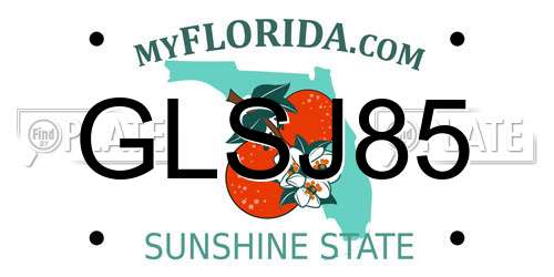 GLSJ85 Florida License Plate