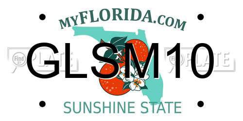 GLSM10 Florida License Plate