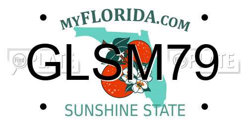 GLSM79 Florida License Plate