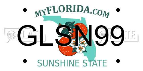 GLSN99 Florida License Plate