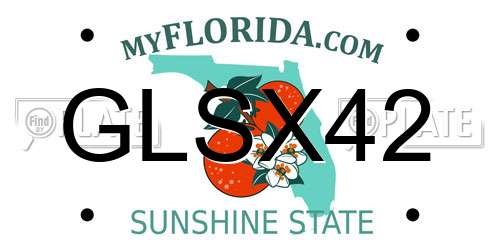 GLSX42 Florida License Plate