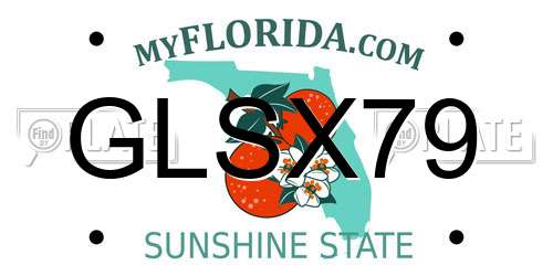 GLSX79 Florida License Plate
